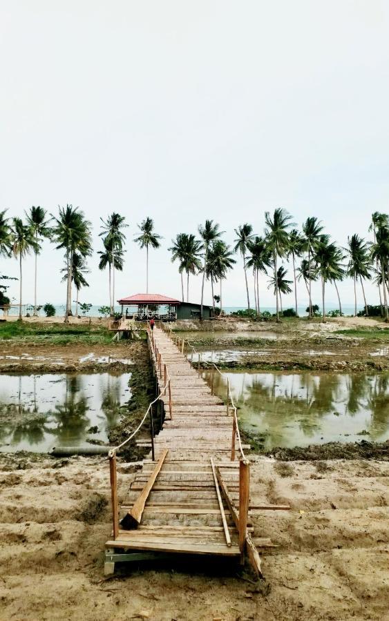 I - Talay Taling Ngam Samui - เขา ป่า นา เล ตลิ่งงาม สมุย Hotell Exteriör bild
