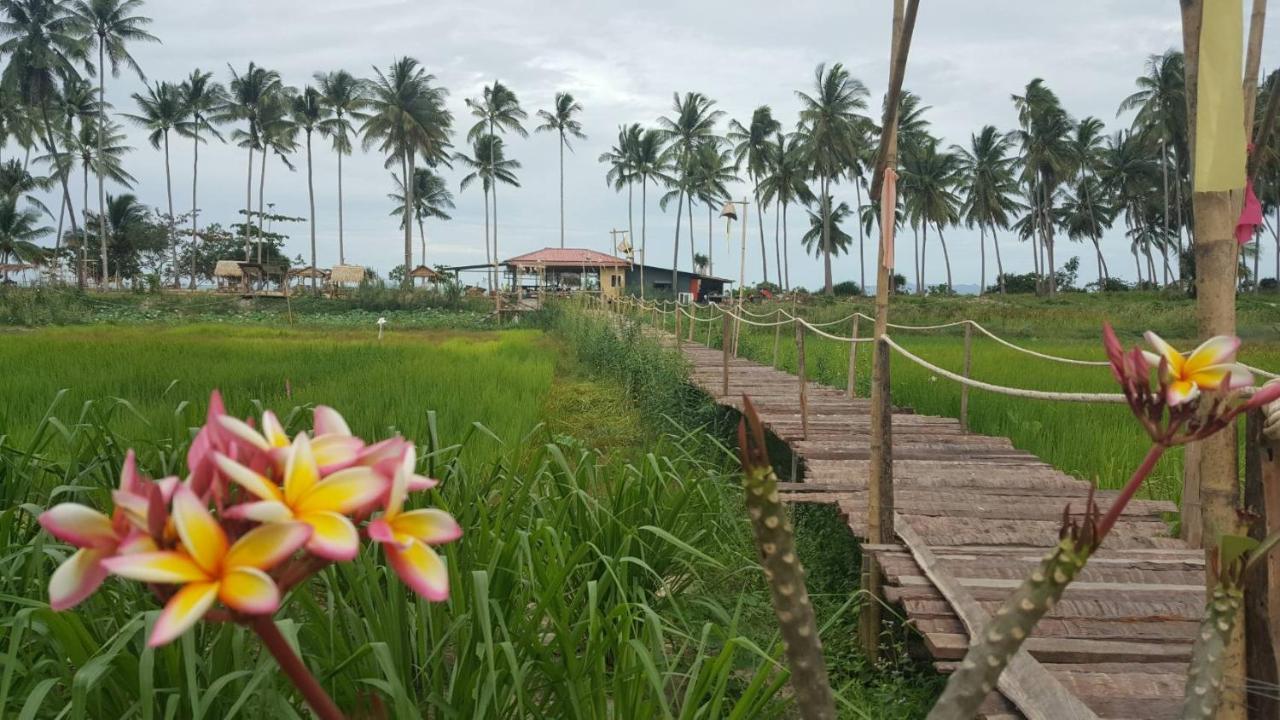 I - Talay Taling Ngam Samui - เขา ป่า นา เล ตลิ่งงาม สมุย Hotell Exteriör bild