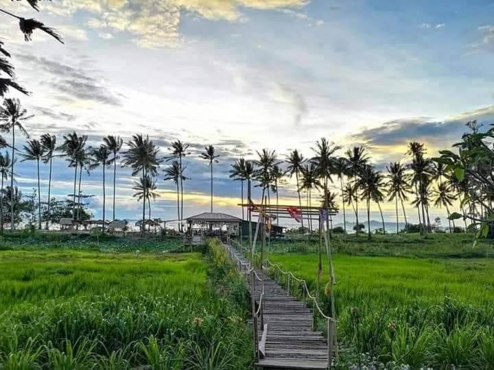 I - Talay Taling Ngam Samui - เขา ป่า นา เล ตลิ่งงาม สมุย Hotell Exteriör bild