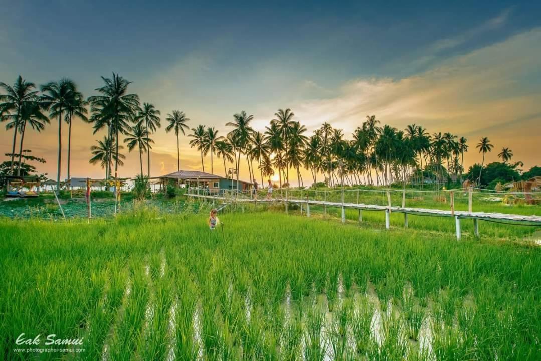 I - Talay Taling Ngam Samui - เขา ป่า นา เล ตลิ่งงาม สมุย Hotell Exteriör bild