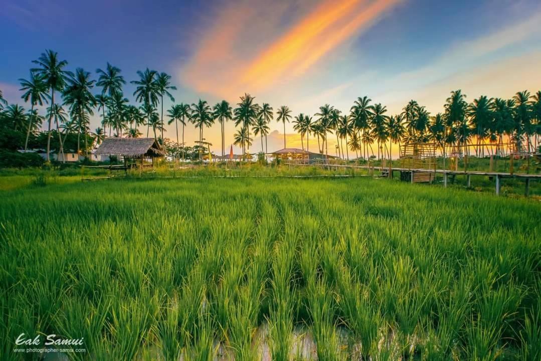 I - Talay Taling Ngam Samui - เขา ป่า นา เล ตลิ่งงาม สมุย Hotell Exteriör bild
